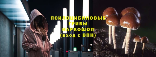 ALPHA PVP Богданович