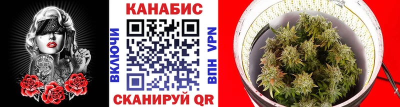 Купить где  Невьянск  Шишки марихуана THC 21% 